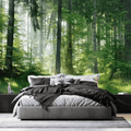 Woodland Forest Landscape Wall Mural