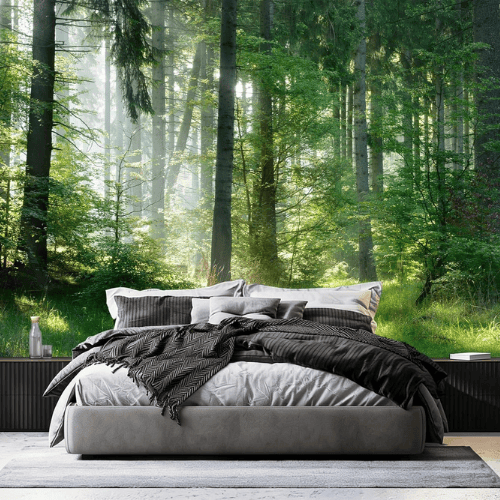 Woodland Forest Landscape Wall Mural