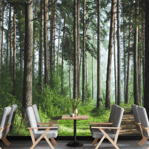 Immersive 3D Green Forest Nature Panorama Mural
