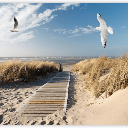 Beach & Sea Landscape Wall Mural