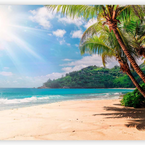 Tropical Island Wall Mural – Palm Tree & Beach Landscape Decor for Living Rooms & Bedrooms