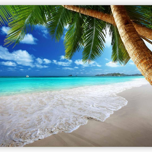 Tropical Island Wall Mural – Palm Tree & Beach Landscape Decor for Living Rooms & Bedrooms